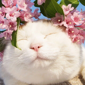 XXXwww视频在线观看
